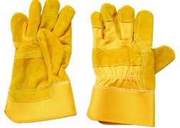 Glove 1007