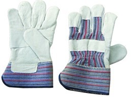 Glove 1008